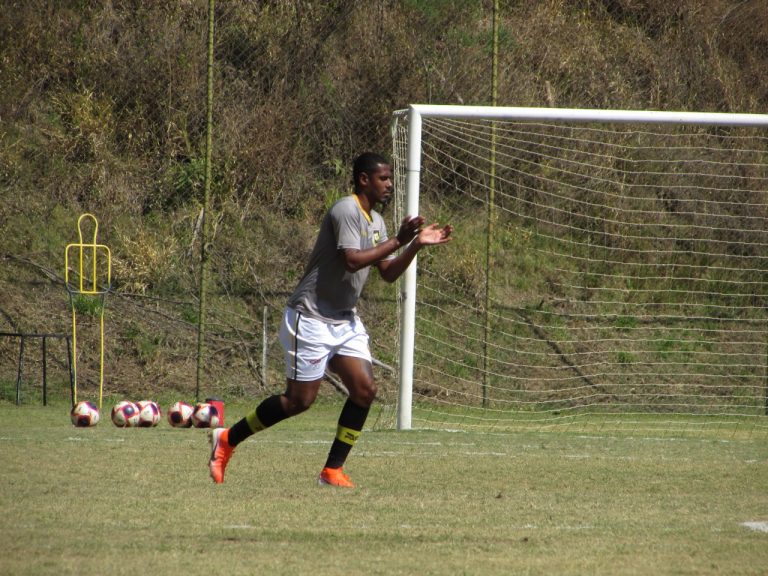 Zagueiro Leandro Amaro avalia preparação do Tigre e projeta Copa Paulista